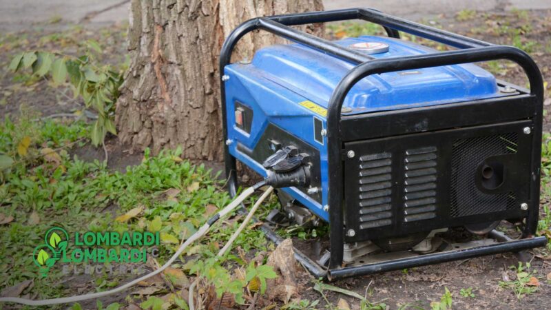 Best portable generator louisiana